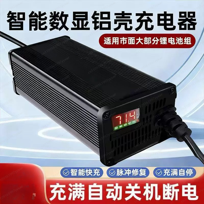 Caricabatterie Intelligente Li - 72V 15A Fast Charger recensione e prezzo