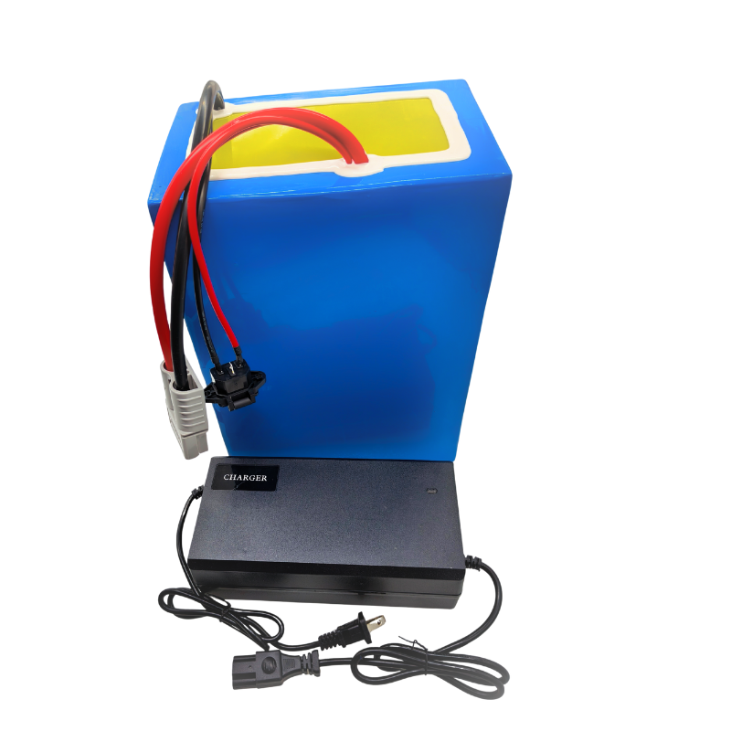 72V 100Ah Li ion con caricabat - 72V 40Ah Lifepo4 Battery Pack recensione e prezzo